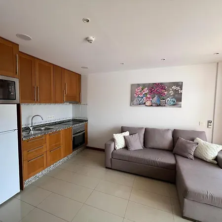 Vina De Mar Cosy Apartment Playa Fanabe Exterior photo