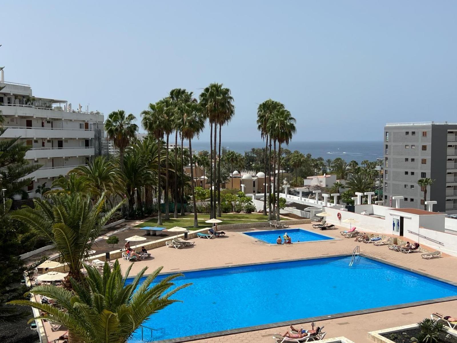 Vina De Mar Cosy Apartment Playa Fanabe